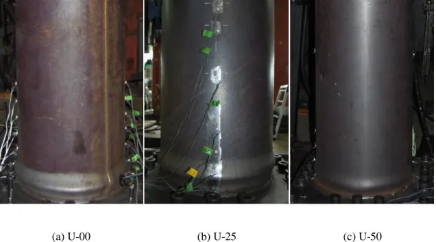 Fig. 2-7. Failure mode of circular specimens observed after static cyclic tests