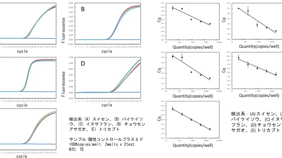 図 2-1  陽性コントロールプラスミド特異性   図 2-2  陽性コントロールプラスミド希釈直線 