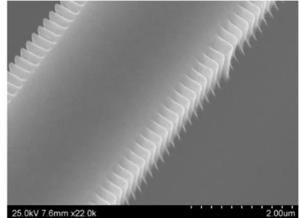 Fig. 2 Scanning electron microscope image of HEM DFB  structure. 