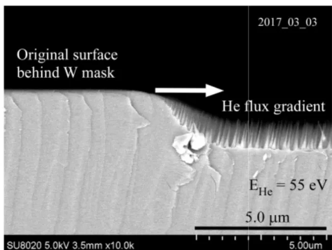 Figure  3  shows  the  TEM  bright  field  images  of  nano-cones  on  the  surface  of  black  Si  with  different  magnifications
