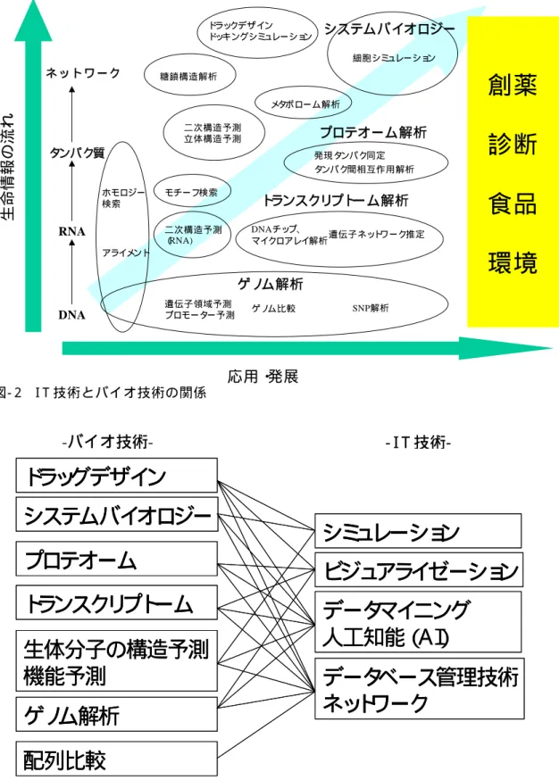 図 - 1  技 術 俯 瞰 図   DNARNAタ ンパ ク 質修 飾 タ ンパ ク質 発 現 タ ンパ ク 同 定DNAチップ、マイクロアレイ解 析 システムバ イオロジー糖 鎖 構 造 解 析二 次 構 造 予 測立 体 構 造 予 測ドラックデザ インドッキングシミュレーション遺 伝 子 ネットワーク推 定細 胞 シミュレーション遺 伝 子 領 域 予 測プロモーター予 測SNP解析メタボローム解 析モチーフ検 索タンパ ク間 相 互 作 用 解 析ホモロジー検 索ゲノム比 較ゲノム解 析トランスク