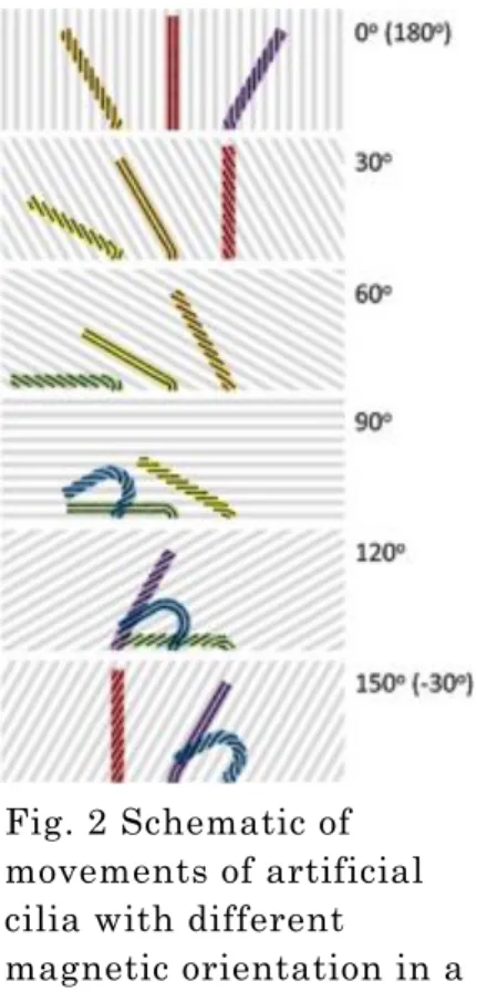 Fig. 2 Schematic of  movements of artificial  cilia with different 