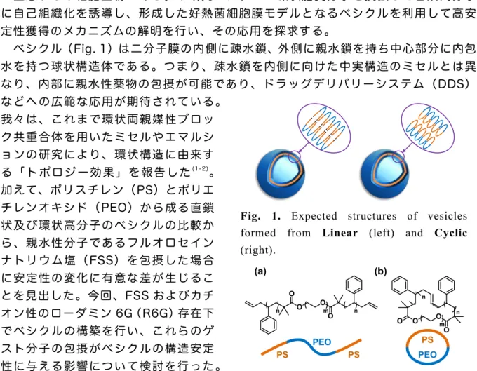 Fig.  2  Chemical  structures  and  schematic 