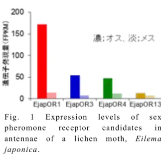 Fig.  1  Expression  levels  of  sex  pheromone  receptor  candidates  in  antennae  of  a  lichen  moth,  Eilema 