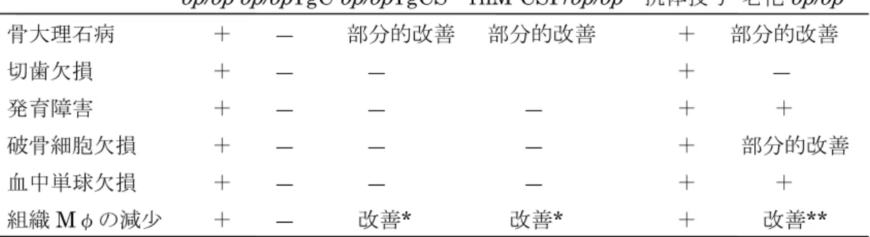表 17  M-CSF 連日投与、M-CSF 遺伝子導入マウス、抗マウス M-CSF  抗体連日投与        や老齢化による op/op マウスの病態ないし組織マクロファージの改善 