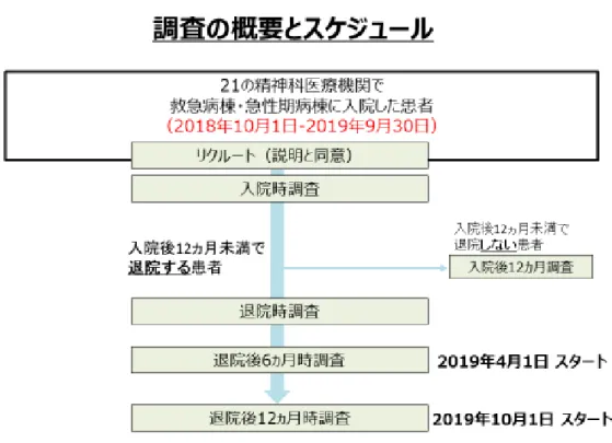 図 1  調査のスケジュールのフロー 
