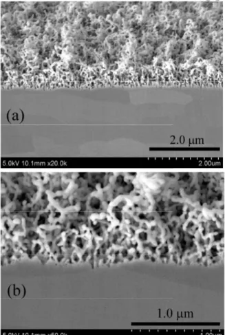 Figure 1 has already shown the nanostructure formation  at  T ~ 920 K. Laser light reflection method has also  shown the formation at T ~ 870 K