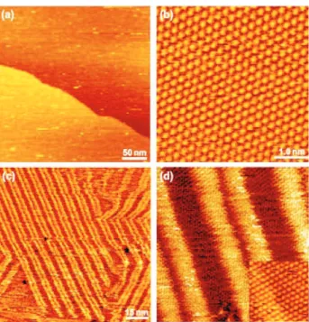 Fig.  2. Large-scale  STM  and  high-resolution  topographies  of  Au(111)  surface  obtained  at –0.30  V  for  panels  (a)  and  (b)  and  at  –1.50 V for  panels (c) and (d)