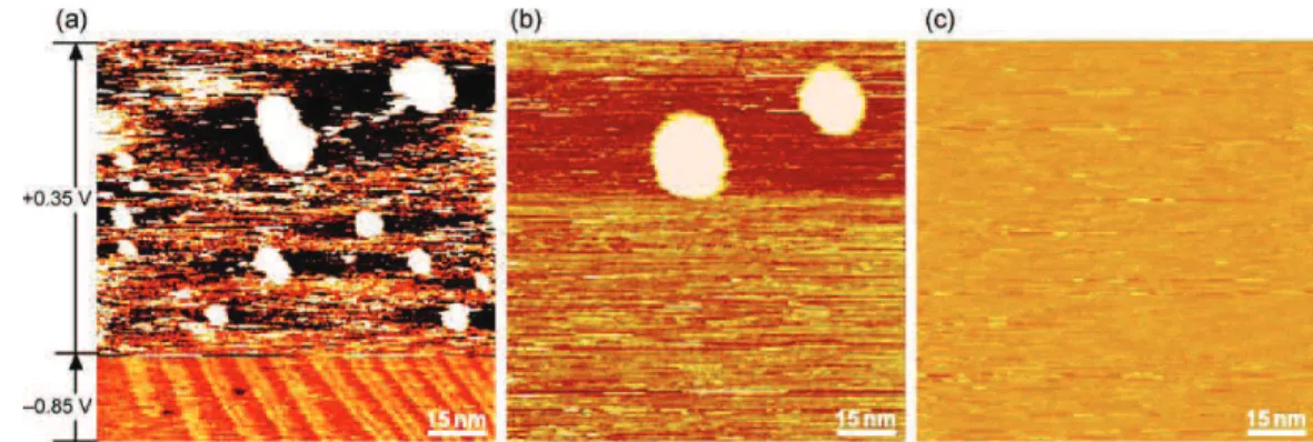 Fig.  5a was  recorded.    Small  Au  islands,  ca.  2  to  4  nm  in  diameter,  appeared  not  only  on  the  terrace  but  also  on  the  monatomic  island  in  the  upper  portion  of  the  image