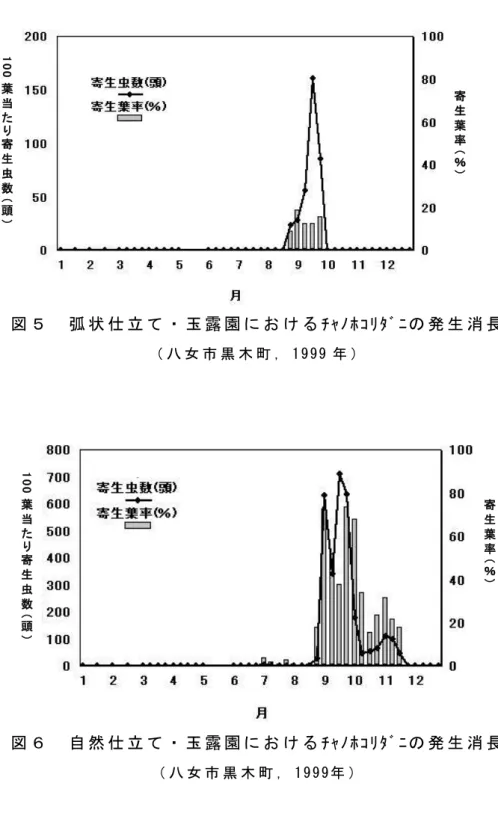 図 ５   弧 状 仕 立 て ・ 玉 露 園 に お け る ﾁｬﾉﾎｺﾘﾀﾞﾆの 発 生 消 長   （ 八 女 市 黒 木 町 ， 1 9 99 年 ） 図 ６   自 然 仕 立 て ・ 玉 露 園 に お け る ﾁｬﾉﾎｺﾘﾀﾞﾆの 発 生 消 長   （ 八 女 市 黒 木 町 ， 1 9 9 9年 ） 寄生葉率（％） 100葉当たり寄生虫数（頭）  寄生葉率（％） 100葉当たり寄生虫数（頭） 