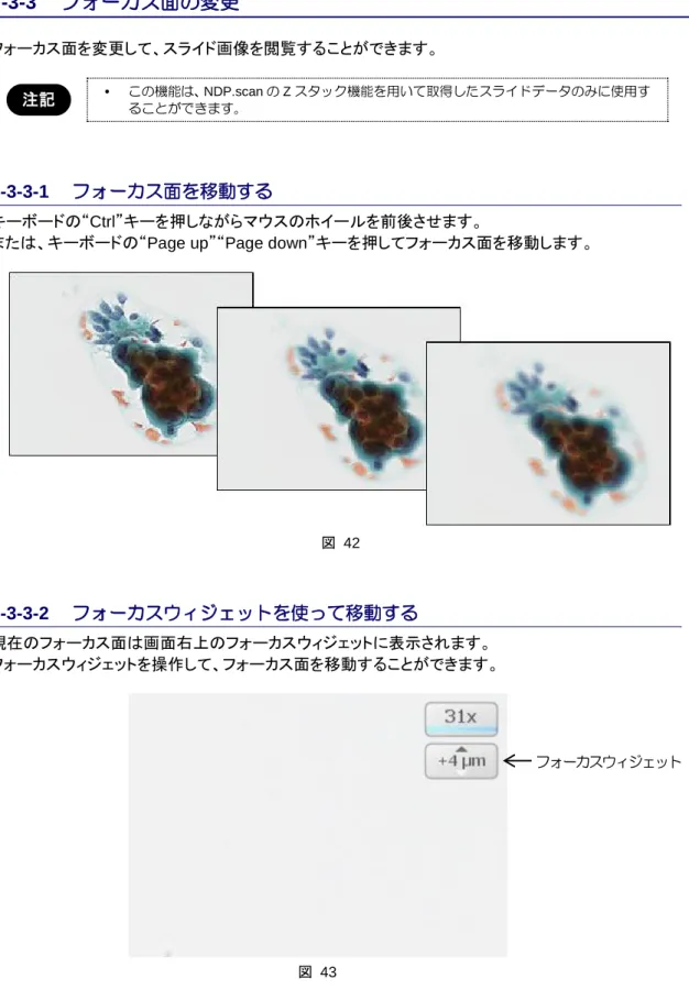 図  42  7-3-3-2  フォーカスウィジェットを使って移動する  現在のフォーカス面は画面右上のフォーカスウィジェットに表示されます。  フォーカスウィジェットを操作して、フォーカス面を移動することができます。  図  43  フォーカスウィジェット 