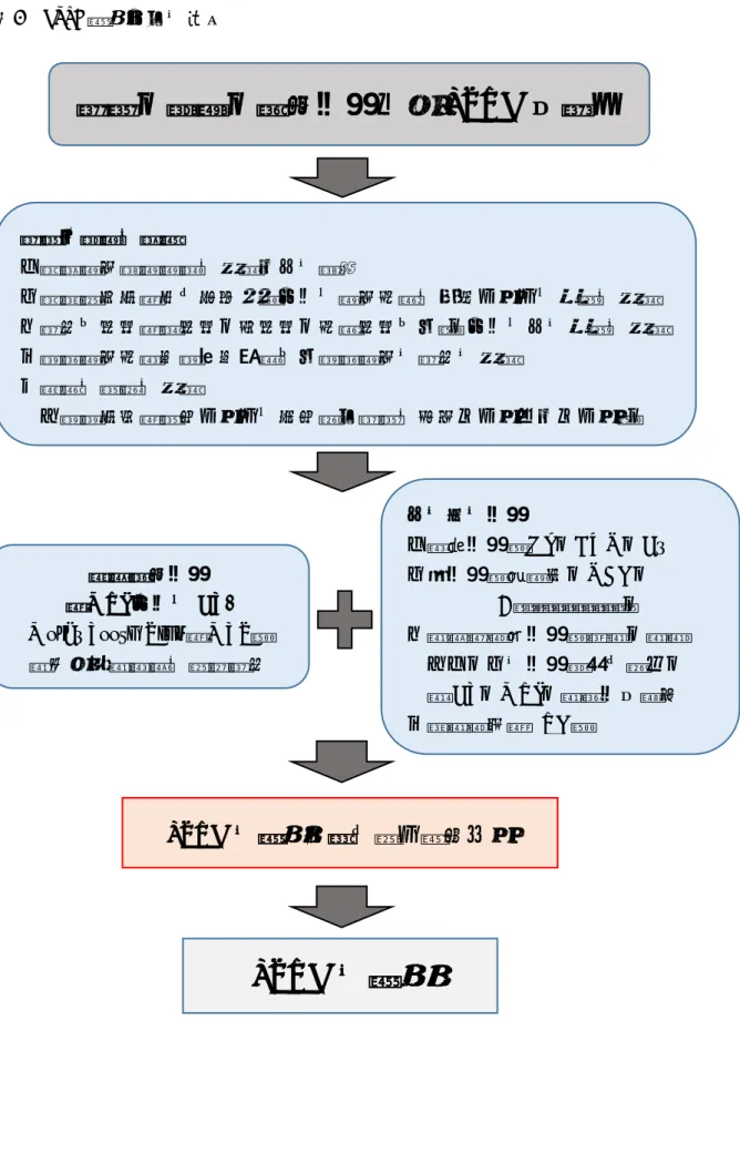 図 2  JSRD 診断までの流れ 