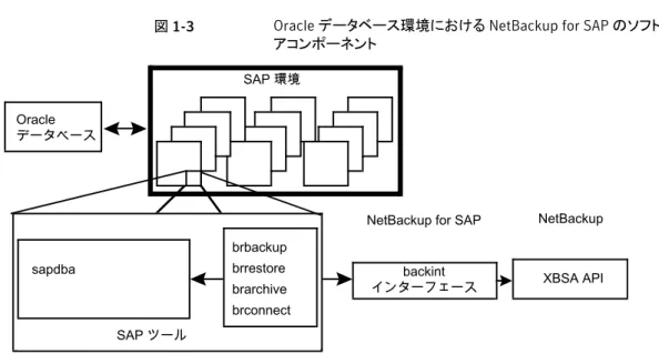 図 1-3 Oracle データベース環境における NetBackup for SAP のソフトウェ アコンポーネント sapdba backint インターフェース XBSA APIbrbackupbrrestore brarchive brconnectOracleデータベース SAP ツール SAP 環境