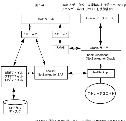 図 1-4 Oracle データベース環境における NetBackup for SAP のソフトウェ アコンポーネント（RMAN を使う場合） SAP ツール フェーズ 1 RMAN 制御ファイル プロファイル ログファイル ローカル ディスク NetBackup ストレージユニットOracle サーバーlibobk (liborasap) (NetBackup for Oracle)Oracle データベース
