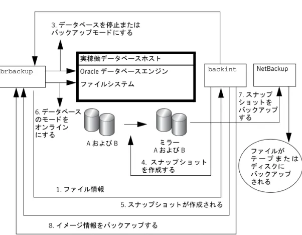 図 5-2 brbackup  および backint を使用し た SAP Oracle のオン ラ イ ンバ ッ ク ア ッ プおよびオ フラ イ ンバ ッ ク ア ッ プ