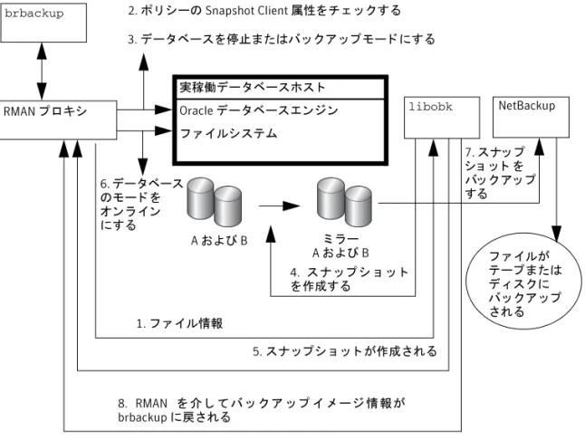 図 5-3 RMAN プロキシを使用し た SAP Oracle のオン ラ イ ンバ ッ ク ア ッ プおよびオ フラ イ ンバ ッ ク ア ッ プ