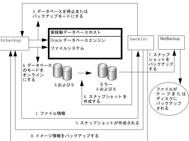 図 5-2 brbackup  および backint を使用し た SAP Oracle のオン ラ イ ンバ ッ ク アッ プおよびオ フ ラ イ ンバ ッ ク アッ プ 実稼働デー タ ベースホス ト Oracle デー タ ベースエンジン フ ァ イルシステム backint NetBackup フ ァ イルが テ ー プ ま た は デ ィ ス ク に バ ッ ク ア ッ プ されるA および Bミ ラーA および Bbrbackup 1