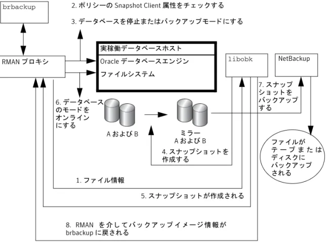 図 5-3 RMAN プロキシを使用し た SAP Oracle のオン ラ イ ンバ ッ ク アッ プおよびオ フ ラ イ ンバ ッ ク ア ッ プ