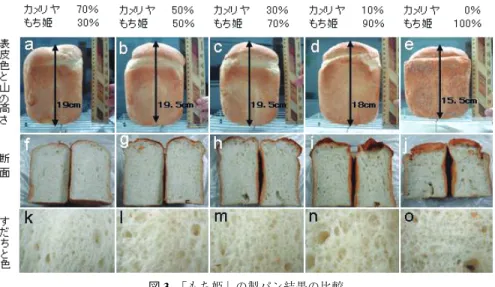 図 3 「もち姫」の製パン結果の比較 山の高さ（a∼e）、粘性（f∼j）、すだち（k∼o）の評価は、「あけぼのもち」とほぼ同 様の傾向である。山の高さについては、各配合の割合を比較すると「あけぼのもち」よ り 1∼2 cm ずつ低めである。色については、「もち姫」100％（o）では若干黄色っぽく 着色して見えるが、それ以外（k∼n）はほぼ安定した白色を示している。 図 4 「米粉」による製パン結果の比較 全体的に、タンパク含量の不足で生地の気泡が形成されなかったことにより、パンらしい特徴が乏しくな っている