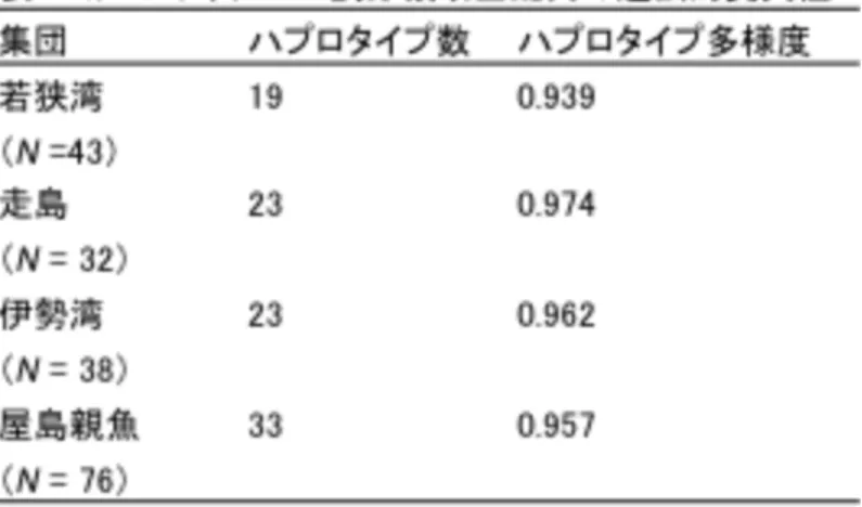 図 5.	 2011 年 7 月に山口県瀬戸内海側の埴生周辺で漁獲された 0 歳の人工種苗、天然稚魚お よび屋島親魚の mtDNA 調節領域全配列（820 822 塩基）の系統関係．同一の塩基配列 を持つ個体は赤線で囲んだ。調節領域の塩基配列が屋島親魚と同一で、msDNA 分析から も親子関係と認識された人工種苗には○を、一方、調節領域の塩基配列は同一だが、 msDNA 分析からは親子関係が否定された人工種苗には●を付記している．	 