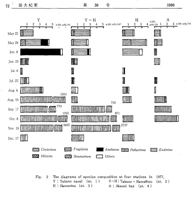 Fig.  2  The  diagrams  of  species  composition  at  four  stations  in  1977.