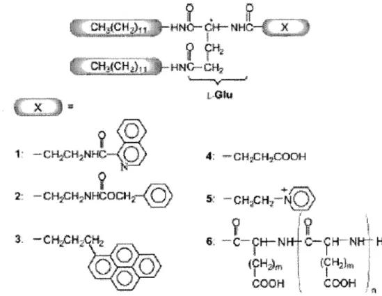Figure 2.1. The chemical structures of L-glutamic acid derived lipids [12].