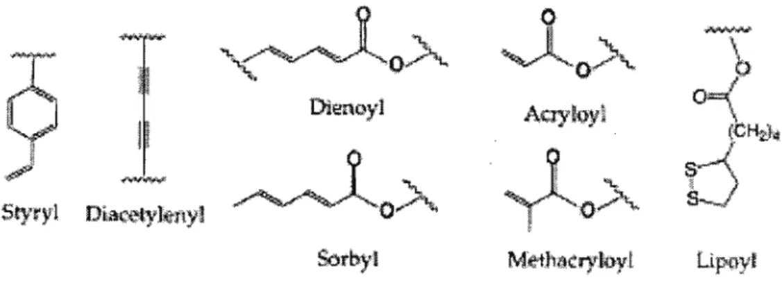 Figure 2.2. Examples of polymerizable groups which have been incorporated into polymerizable superstructure-forming molecules