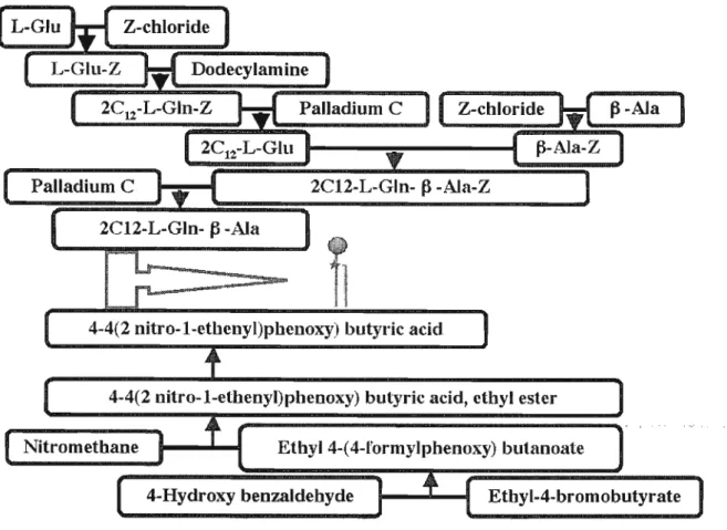 Figure 2.4. Designed synthesis pathway for organogelator