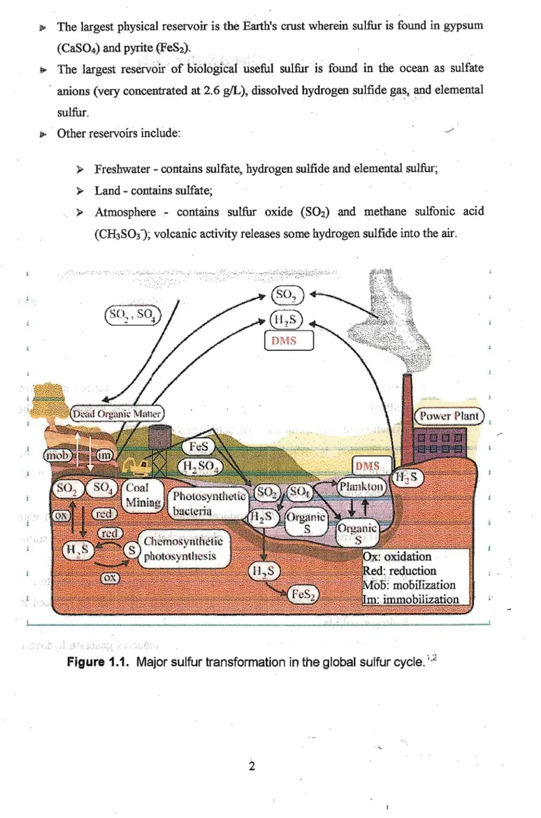 Figure 1.1. Major sulfur transformation in the global sulfur cycle.'2