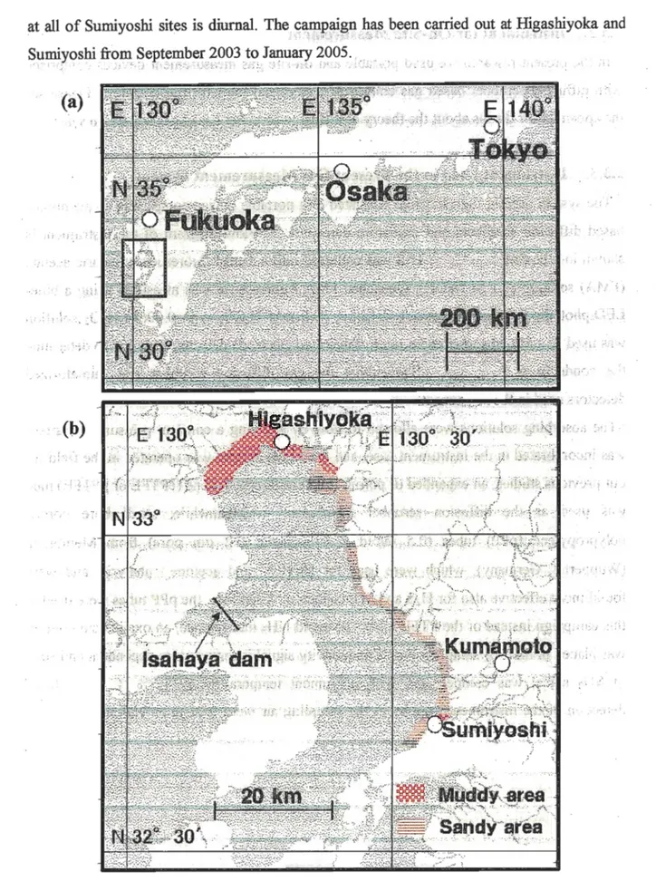 Figure 2.2. Location of Ariake Sea in Kyushu island, Japan (a), sampling sites along the coast of Ariake Sea in the muddy and sandy tidal flat area (b).