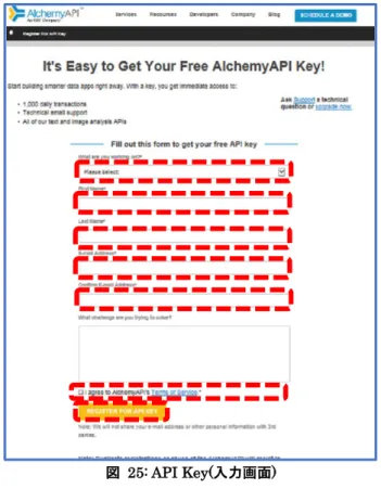 図  25: API Key(入力画面)