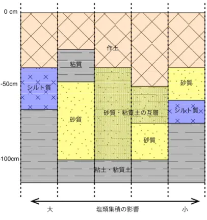 図   1 . 7   塩 類 集 積 が 発 生 す る メ カ ニ ズ ム