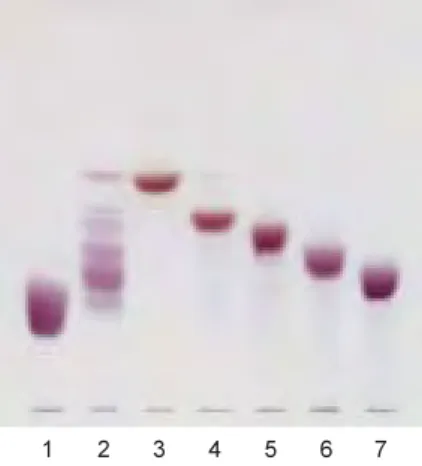 Fig. ῒ Thin Layer Chromatogram of Partial Acid Hydrolyzates of AGLῌ ῐ.