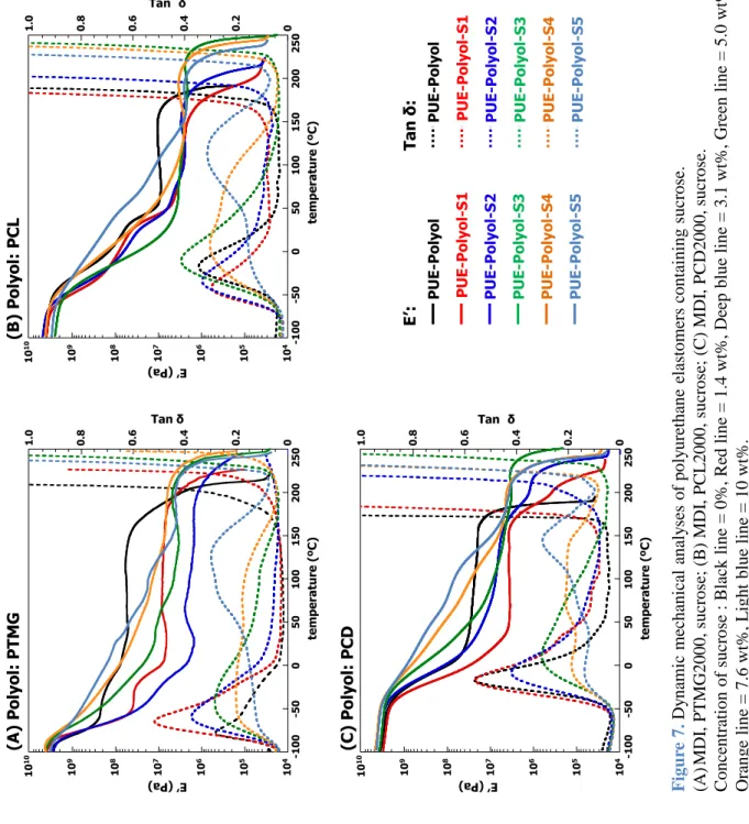 Figure 7. Dynamic mechanical analyses of polyurethane elastomers containing sucrose. (A)MDI, PTMG2000, sucrose; (B) MDI, PCL2000, sucrose; (C) MDI, PCD2000, sucrose