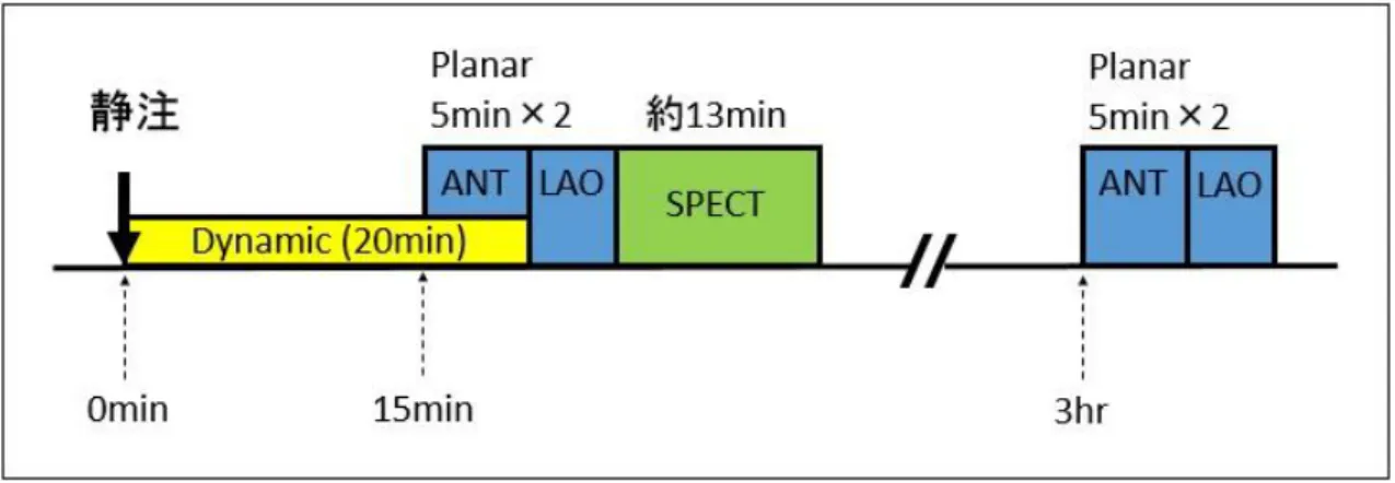 図 2.1  本研究における撮像プロトコル概要 