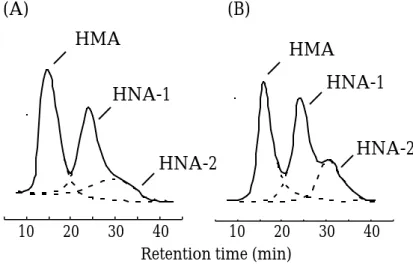 Fig. 8 HPLC profile of serum from a patient of  renal failure without (A) and with  (B)  coadministration of Fe