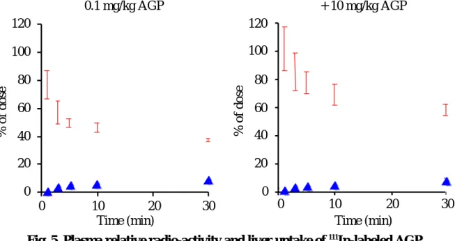 Fig. 5  Plasma relative radio-activity and liver uptake of  111 In-labeled AGP  after intravenous administration 