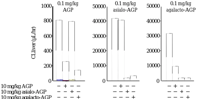 Fig. 11  Competition of liver uptake clearance of  111 In-labeled AGP, asialo-AGP and  agalacto-AGP by coadministration of the other glycoproteins