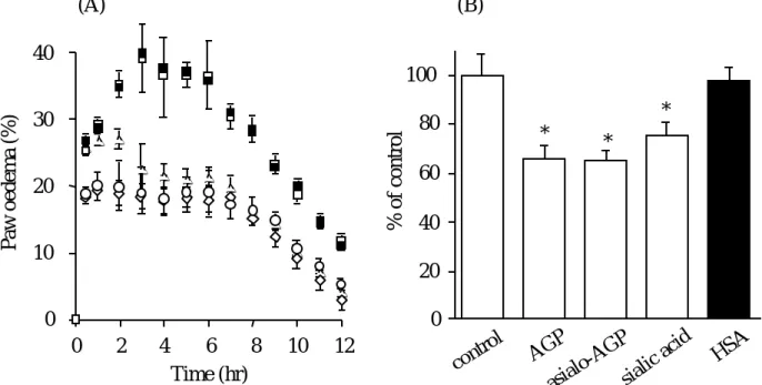 Fig. 13  Effects of AGP on carrageenan induced paw oedema (A)  and vascular permeability (B)