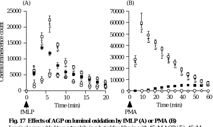 Fig. 17  Effects of AGP on luminol oxidation by fMLP (A) or PMA (B)