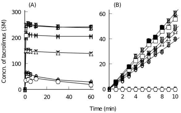 Fig. 13.  Dissolution Profiles of Tacrolimus or Its DM-β-CyD Complexes in JPXIV  2nd Fluid (pH 6.8) at 37℃, Measured by Dispersed Amount Method (equivalent to  5 mg tacrolimus) (A) and Rotating Disk Method (B) 