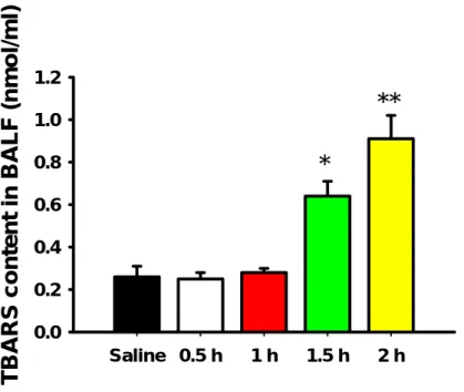 Fig. 2 ‑ 2. Time-dependent effects of 15 µl/kg oleic acid on lipid peroxidation in the  BALF