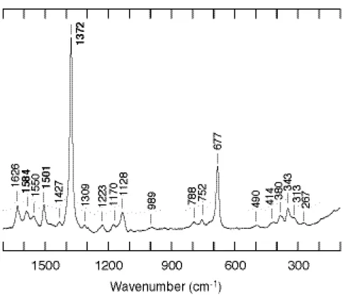 Figure 5. Resonance Raman spectrum of wild-type CooA in the ferric form. 次に還元型について述べる。すでに X 線結晶構造解析により、構造が明らかとなっ ていることから、ヘム鉄は６配位で低スピン状態にあると考えられる。共鳴ラマンスペ クトルから、ヘム鉄が還元状態にあることを示すバンドである ν 4 が 1363 cm -1 に見ら れた (Figure 6)。さらに ν 3 および ν 2 がそれぞれ 1494 cm -1 と 1582