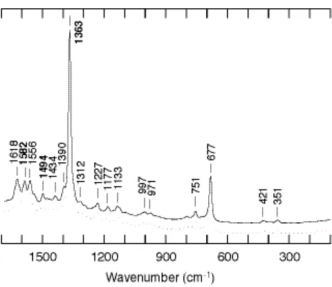 Figure 6. Resonance Raman spectrum of wild-type CooA in the ferrous form. 最後に一酸化炭素結合型について述べる。還元型に一酸化炭素が結合すると、二つ存 在する軸配位子のうちの一方が一酸化炭素によって置換され、６配位低スピン状態をと ることが吸収スペクトルから推測される。このヘム鉄と一酸化炭素との結合については 500 cm -1 付近に伸縮振動ピークが見られることがわかっており、その波数から一酸化 炭素がどの程度の強さで、またどのよう