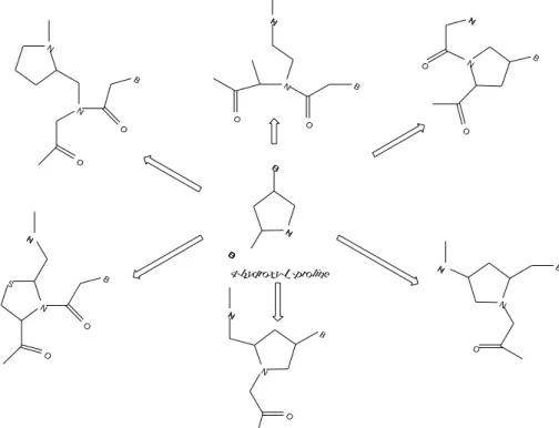 Fig. 8. PNA analogues with five-membered pyrrolidine rings.