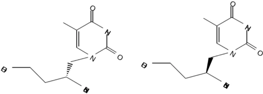 Fig. 22. Structures of some derivatives of isogaPNA tested as antiviral agents.