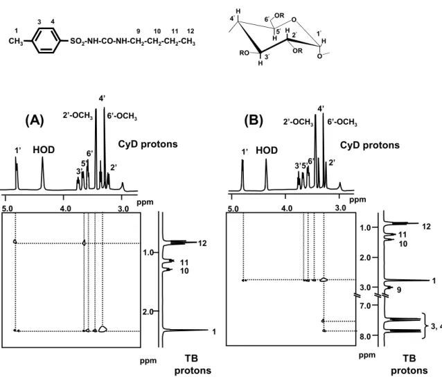Fig. 16. 2D-ROESY Spectra of TB/DM-α-CyD (A) and TB/DM-β-CyD (B)  Systems in pH 9 Borate Buffer at 25  o C