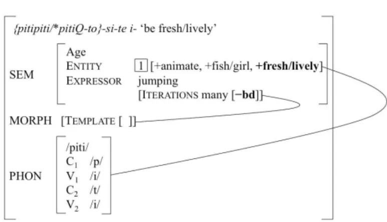 Figure 5. pitipiti-si-te i- ‘be fresh/lively’ 