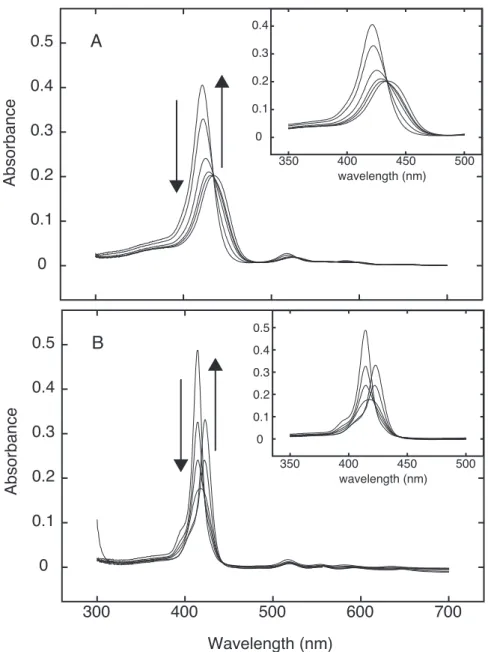 Figure 8. Absorption spectral change of TMPyP4 (A) and mPy (B) on the addition of CTDNA.