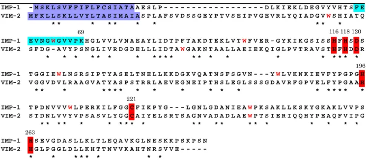Fig. 5.    Comparison of the amino acid sequences between IMP-1 and VIM-2. 
